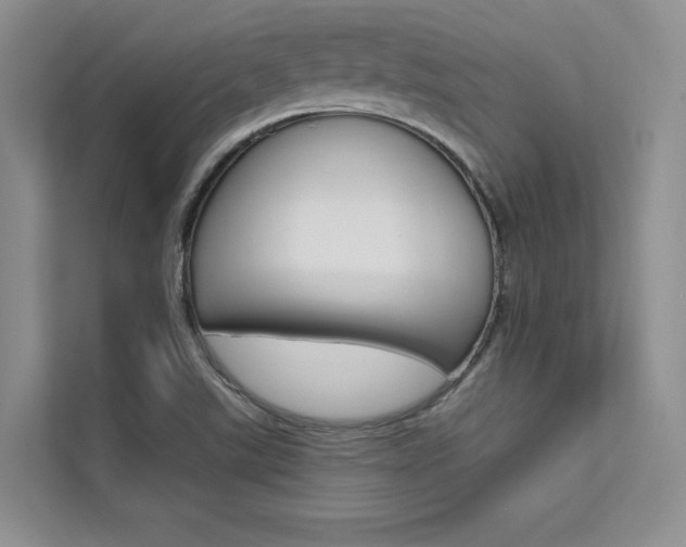 X0000112181507200908070929