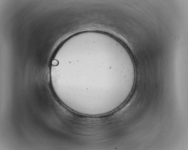 X0000112181509200908070929