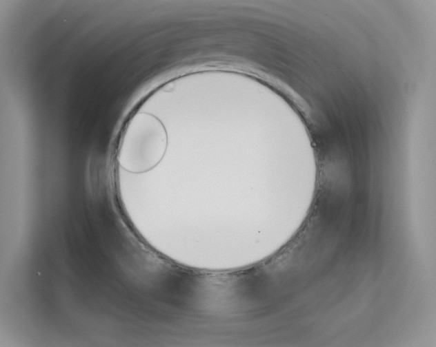 X0000112181514200908070930