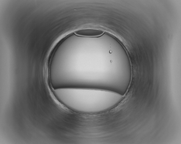 X0000112181515200908070930