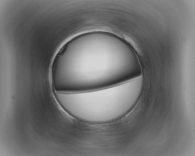 X0000112181516200908070930