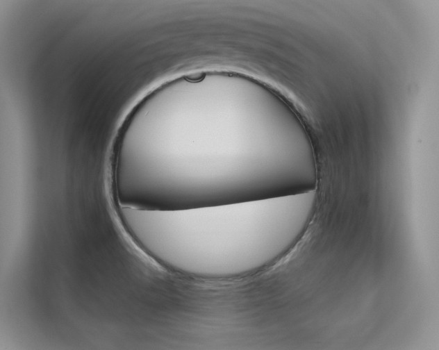 X0000112181518200908070930