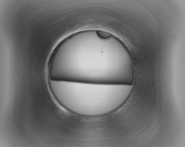 X0000112181519200908070930