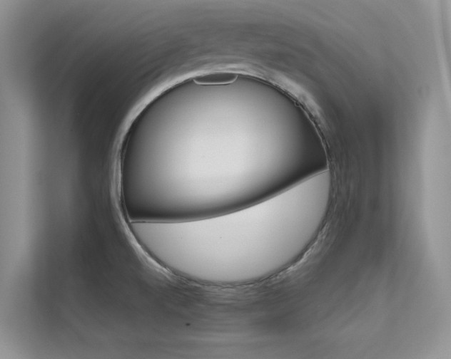 X0000112181520200908070930
