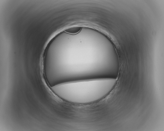 X0000112181522200908070930