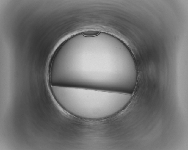 X0000112181523200908070930