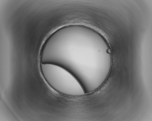 X0000112181525200908070930