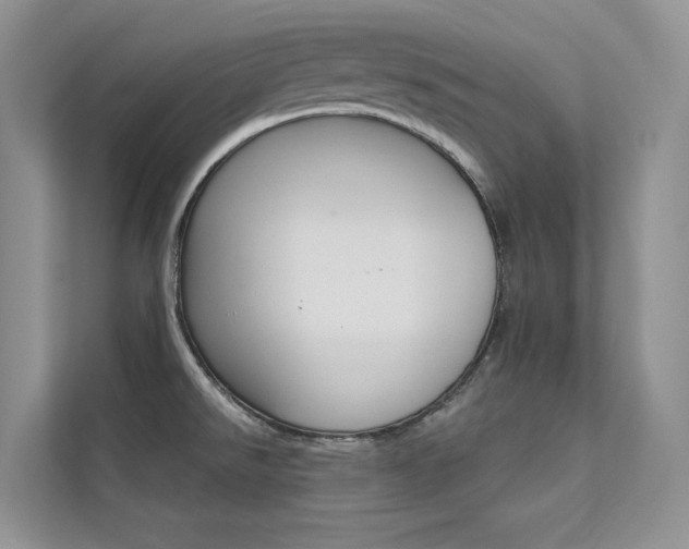 X0000112181526200908070930