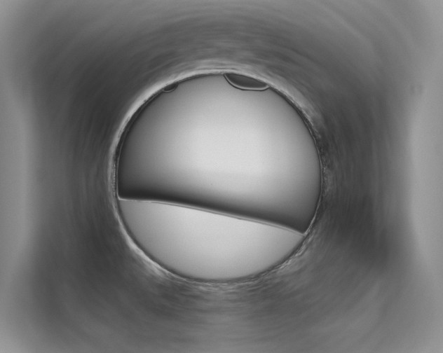 X0000112181527200908070930