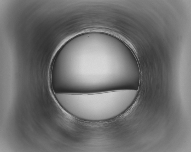 X0000112181533200908070930