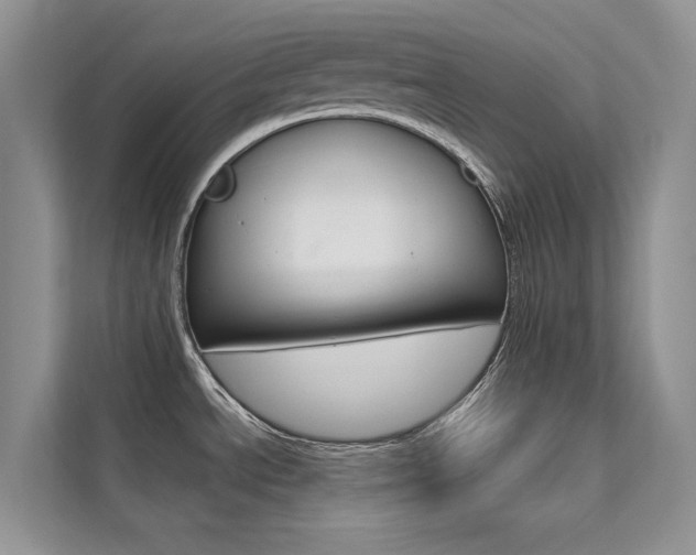 X0000112181534200908070930