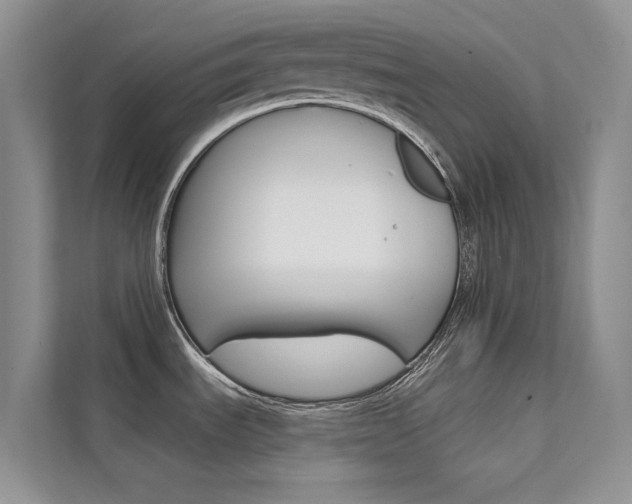 X0000112181535200908070930