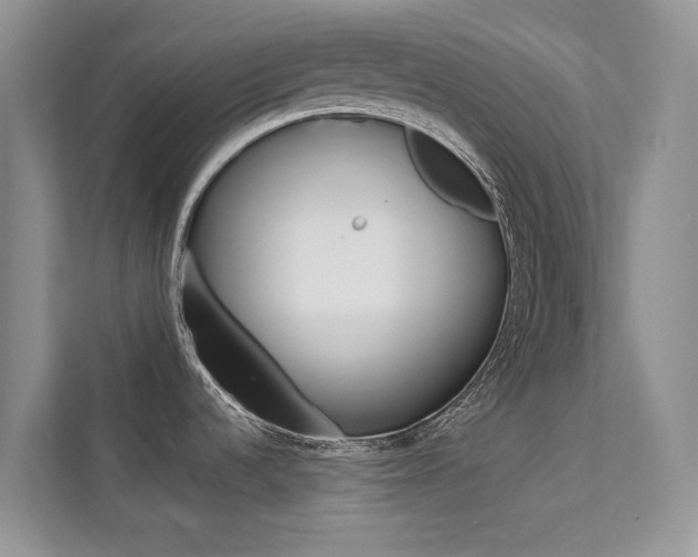 X0000112181536200908070930