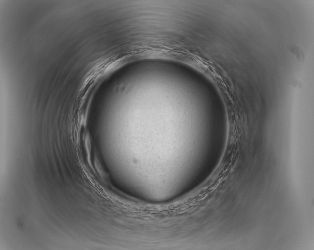 X0000112180002200908071336