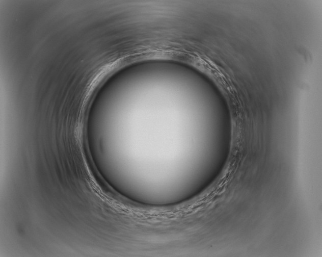 X0000112180003200908071336