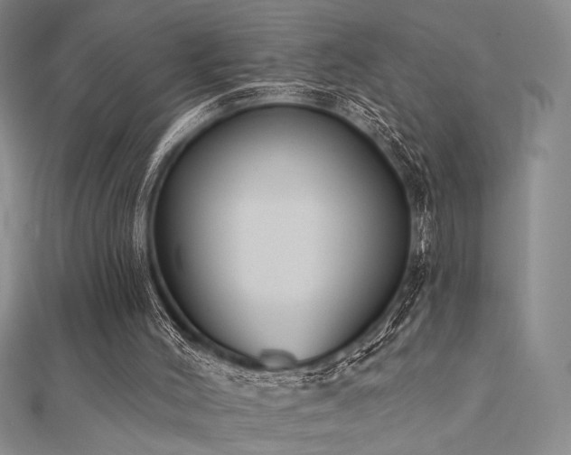 X0000112180004200908071336