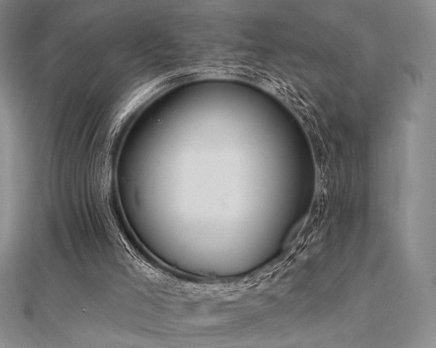 X0000112180005200908071336