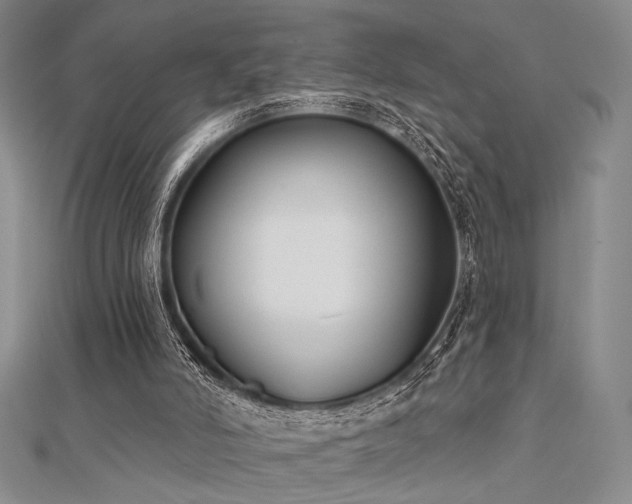 X0000112180006200908071336