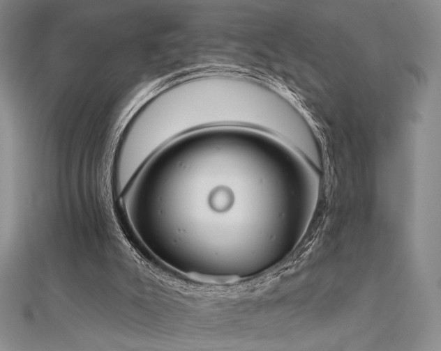 X0000112180007200908071336