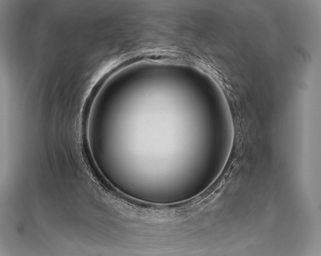 X0000112180008200908071336