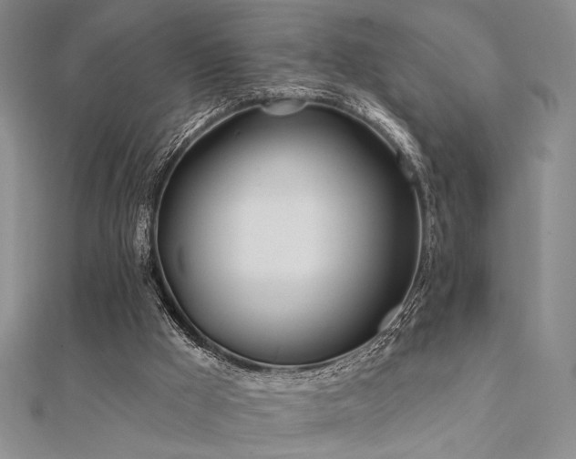 X0000112180009200908071336