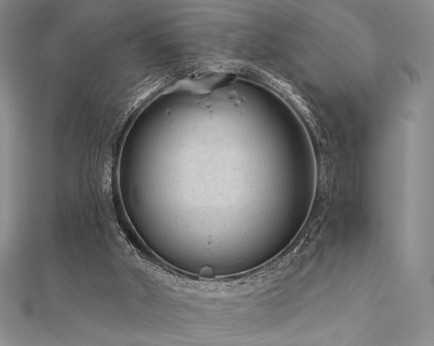 X0000112180010200908071336