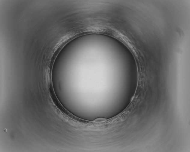 X0000112180011200908071336