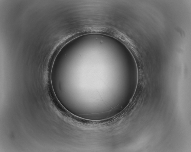 X0000112180012200908071336