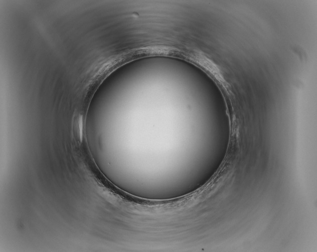 X0000112180013200908071336