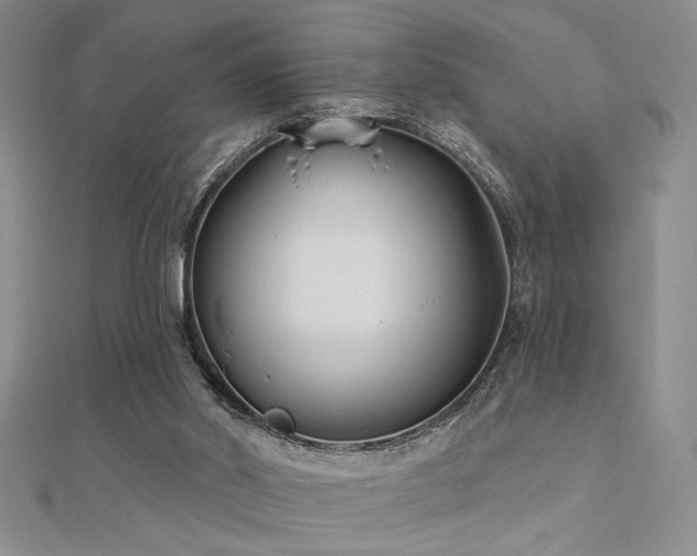 X0000112180014200908071336