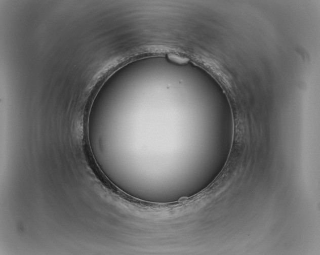 X0000112180015200908071336