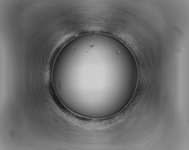 X0000112180016200908071336