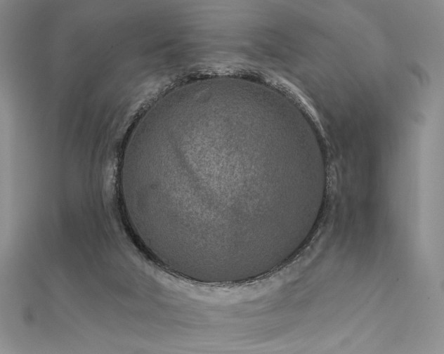 X0000112180018200908071336