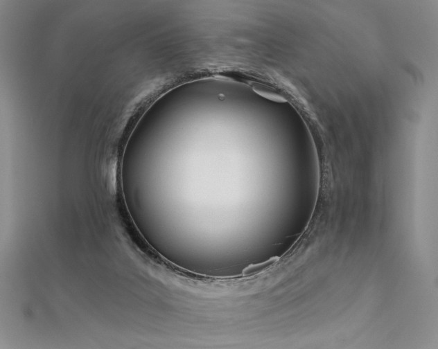 X0000112180019200908071336