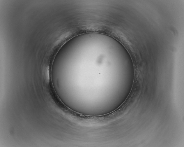 X0000112180020200908071336