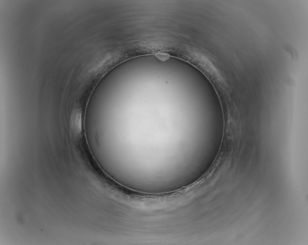 X0000112180021200908071336