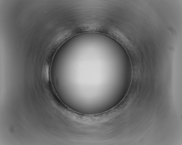 X0000112180022200908071336