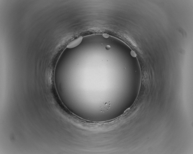 X0000112180023200908071336