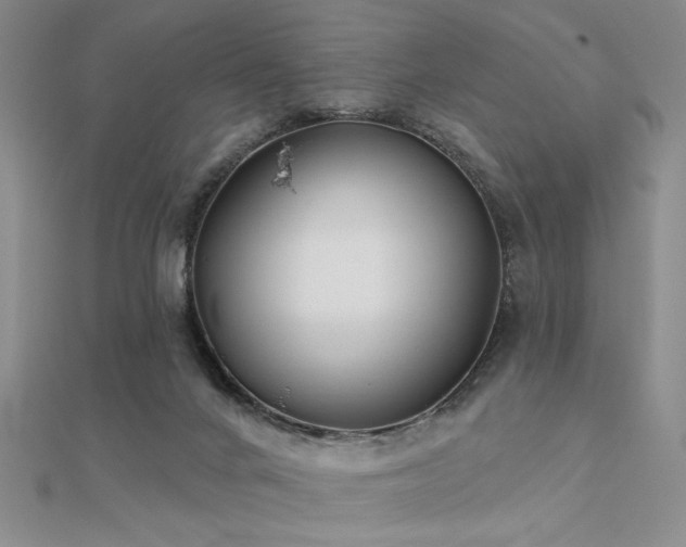 X0000112180024200908071336