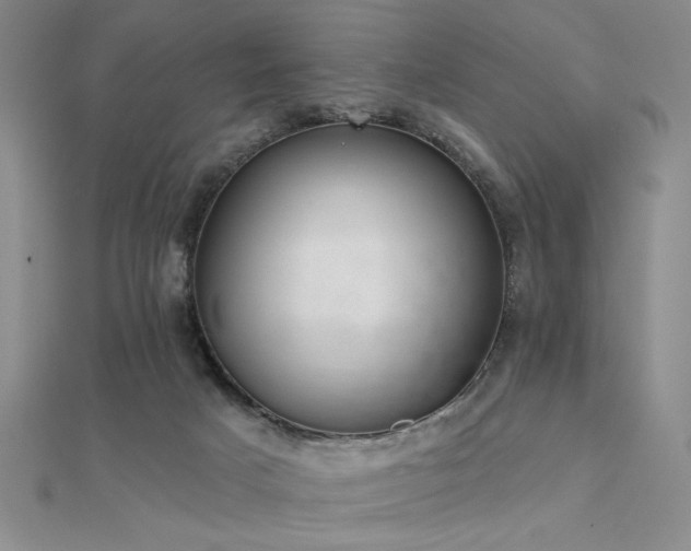 X0000112180025200908071336