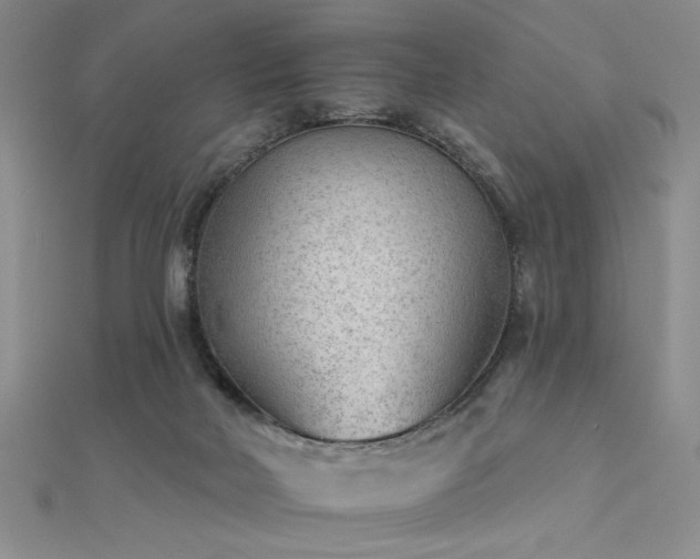 X0000112180026200908071336