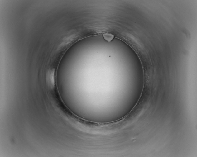 X0000112180028200908071336