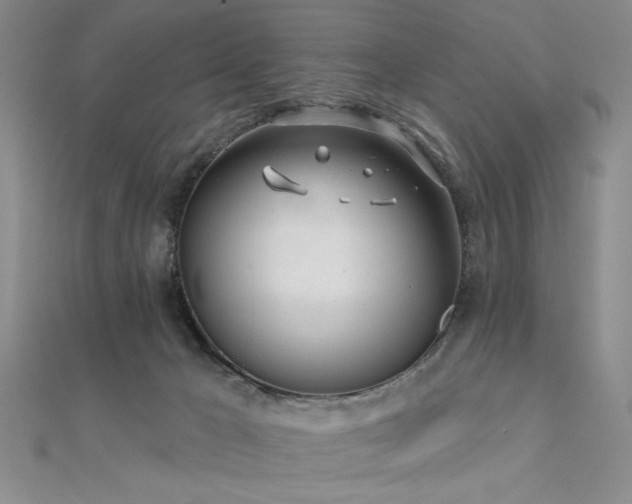 X0000112180029200908071336