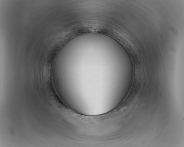 X0000112180030200908071336