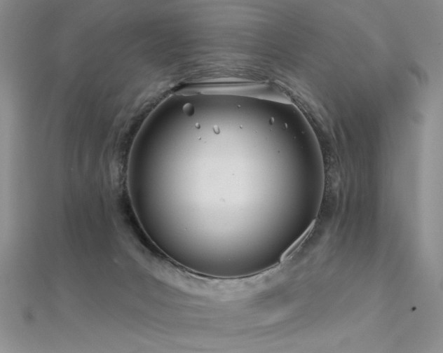 X0000112180031200908071336