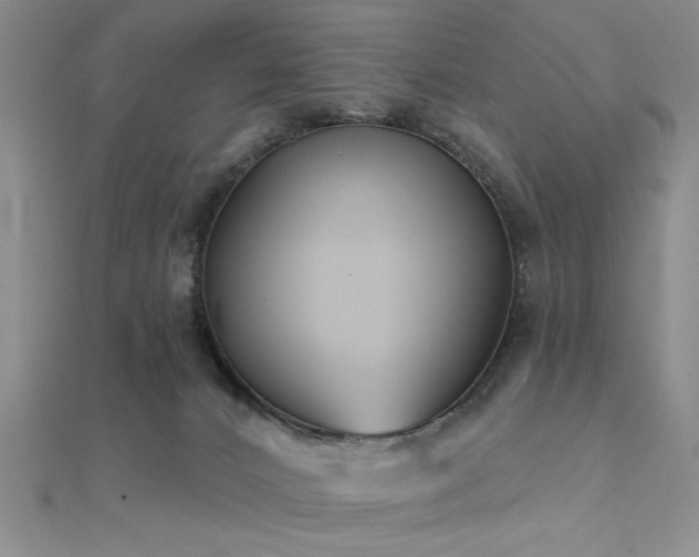 X0000112180032200908071336