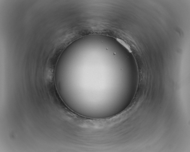 X0000112180033200908071336