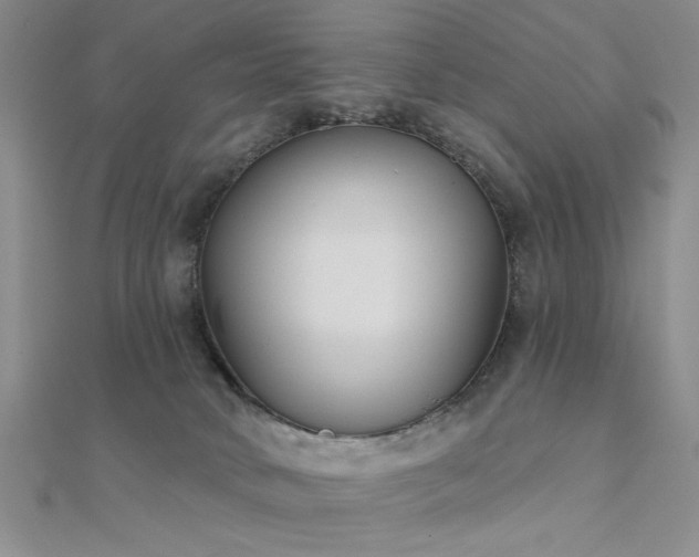 X0000112180034200908071336