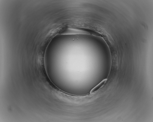 X0000112180035200908071336