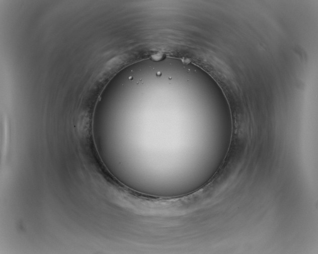 X0000112180036200908071336